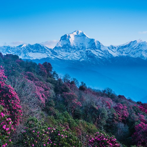 Trekking in Nepal