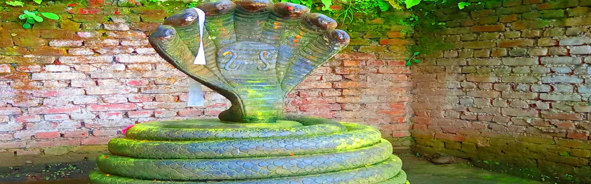 Nag Panchami: A Festival of Serpent Worship in Hindu Culture