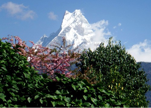 Annapurna Base Camp Trek