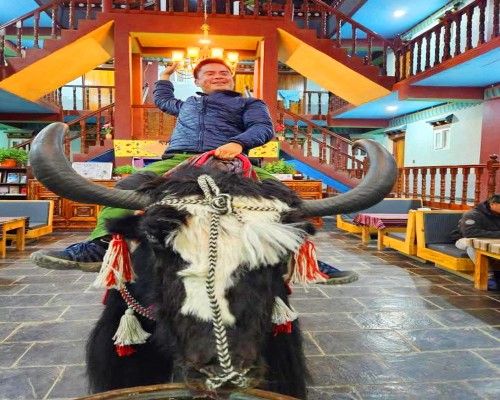  Upper Mstang Up Copy